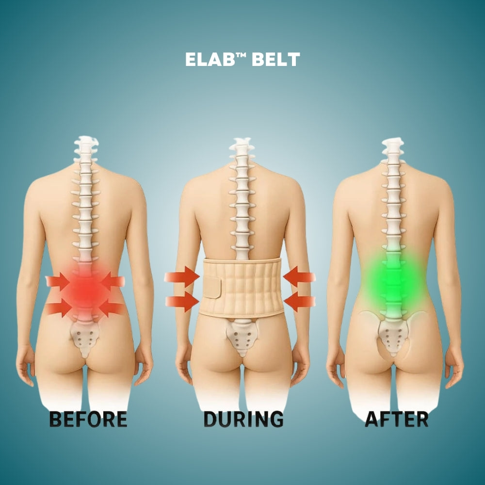 ELab™ - Decompression and Back Support Belt