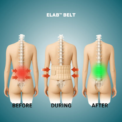ELab™ - Decompression and Back Support Belt